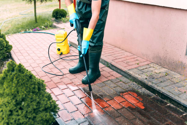 Best House Exterior Washing  in Clemson University, SC
